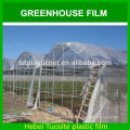 Single Layer and Solar Agricultural Greenhouses Type clear plastic film for greenhouse